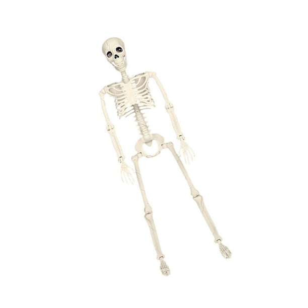 Decoraciones de Esqueletos de Halloween, Esqueleto de plástico de 16 Pulgadas, Paquete de 5 Unidades, Esqueleto de Cuerpo Completo a Granel con articulaciones móviles, Esqueletos espeluznantes