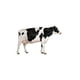 thumbnail image 2 of Alimento para vacas Vaca lechera 158 25 kg, 2 of 2