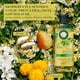 thumbnail image 4 of Shampoo Herbal Essences Classic Shine, 400 ml, 4 of 5