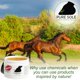 thumbnail image 5 of Cera para cascos Pure Sole 198 g, relleno natural para grietas, 5 of 5