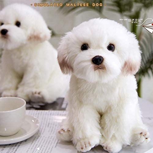 Perro maltesa de felpa realista, juguetes para perros de cachorro de peluche, para niños de cumpleaños para ad FAONIE FAONIE