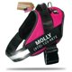 thumbnail image 1 of Arnés para perro Doggykingdom personalizado M rojo rosa, 1 of 9