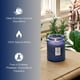 thumbnail image 4 of Mezcla de cera de coco Candle Voluspa Mediterranean Lemon, 532 ml, 4 of 6
