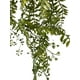 thumbnail image 2 of Ramo Cypress Verde, 2 of 3