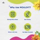 thumbnail image 5 of Arcilla Fevicryl Hobby Ideas Mould It para modelar 900 g artística, 5 of 8