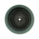 thumbnail image 5 of Macetero Plastico Redondo Bajo Premium Verde Base Dorado, 5 of 9