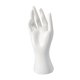 thumbnail image 4 of Mano De Maniquí Femenina, Soporte Para Pulsera, Collar, Anillo, Guantes, Color Blanco, 4 of 5