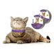 thumbnail image 1 of Collar Calmante Gato ReducciÃ³n AntiestrÃ©s Ajustable 2 Unid, 1 of 7