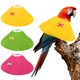 thumbnail image 1 of Collares para Aves Uxcell, Collar Cónico Protector de Recuperación, Conos Ajustables Suaves Anti-Mordeduras para el Cuello de Plumas (Amarillo/Verde/Rosa, XL, 3 Piezas), 1 of 7