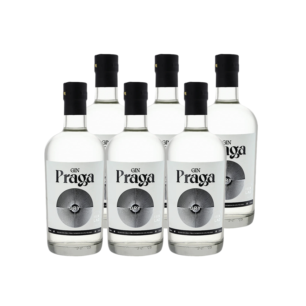 6X Gin Praga Dry 38° 700Cc