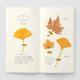thumbnail image 2 of Recarga de Papel para Escribir Traveler's Company Midori Note Color Crema, 2 of 5