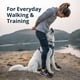 thumbnail image 3 of Arnés para perro Ruffwear Front Range reflectante acolchado talla grande, 3 of 9