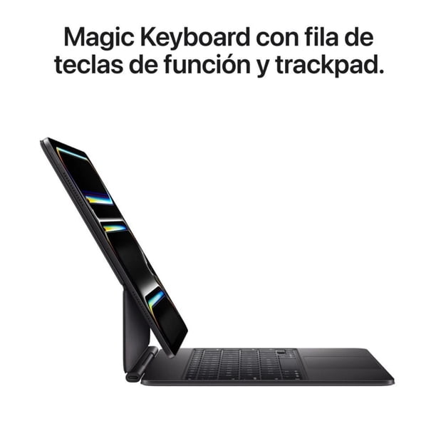 iPad Pro 11 M5 Wi-Fi + Cellular pantalla estandar 256GB negro