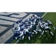 thumbnail image 2 of Videojuego EA SPORTS Madden NFL 27 PS5 Persona Engine, 2 of 3