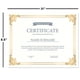 thumbnail image 2 of Papel para certificados Fine Stationery Empire Gold & White, pergamino, paquete de 100, 2 of 7
