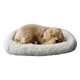 thumbnail image 3 of Juguetes De Peluche Para Dormir Con Alfombra, Figura De Simulación, Estantería, Decoración, Labrador, 3 of 5