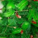 thumbnail image 5 of Arbol de Navidad 210cm Berries Piña Ramas Frondoso verde, 5 of 5