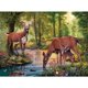 thumbnail image 2 of Rompecabezas Woodland Stream 1000 piezas, 2 of 9