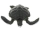 thumbnail image 4 of Simulación Animal Salvaje Modelo Figura Juguetes Estatuilla Decoración Para El Hogar Turtlet D, 4 of 5