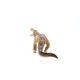 thumbnail image 5 of Juguete de dinosaurio Schleich Kaprosuchus realista con mandíbula móvil, 5 of 5
