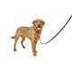 thumbnail image 1 of Arnés para perros PetSafe 3 en 1 sin tirones para perros grandes, color verde azulado, 1 of 8
