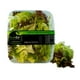 thumbnail image 1 of Lechuga Lollo Rosa Pote, 150 g, 1 of 2