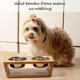 thumbnail image 2 of Juego de 2 tazones para perros Pawfect Pets 10 cm Acacia, 2 of 7