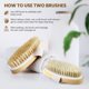 thumbnail image 5 of Cepillo Corporal POPCHOSE Pack de 2 – Cerdas Naturales, 5 of 7