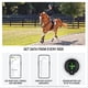 thumbnail image 4 of Sistema de bienestar equino Garmin Blaze con cierre trasero y sensor, 4 of 6