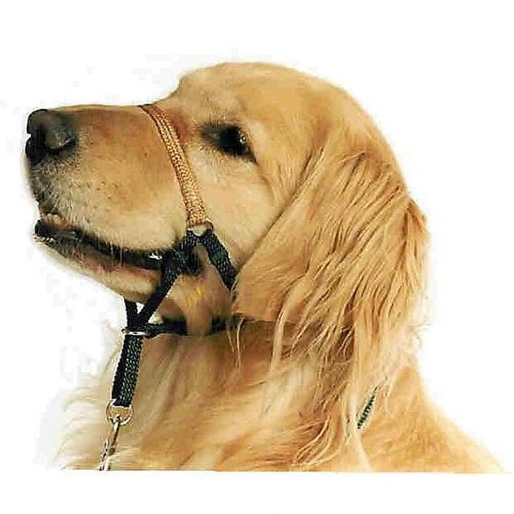 Head Halter Comfort Trainer, talla 1, color rojo, para perros de 2,3 a 4,5 kg