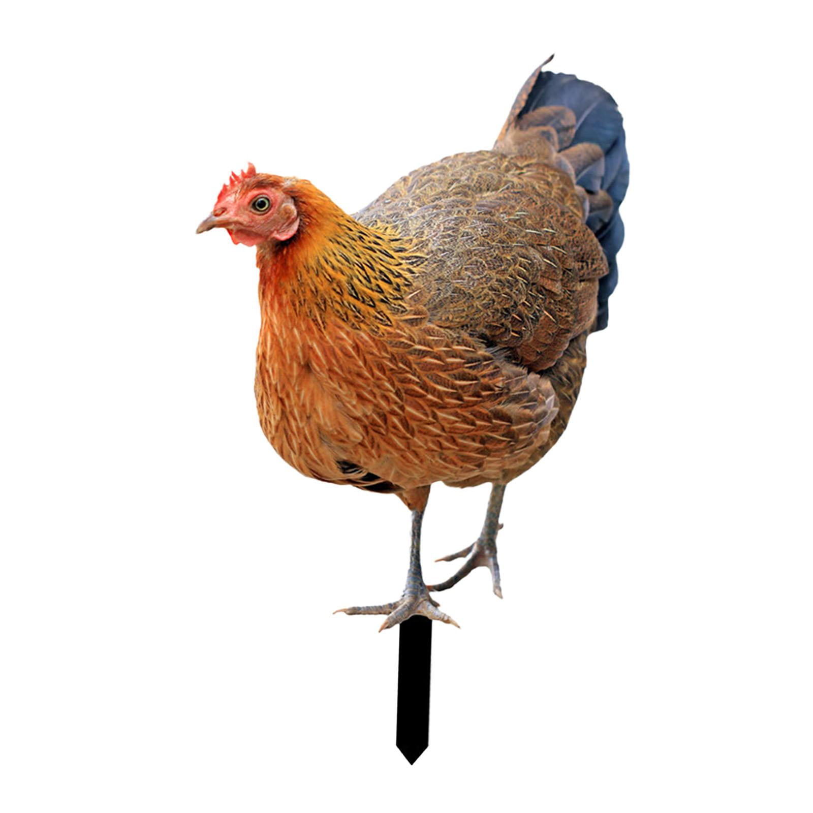 Ioensy - Estacas De Jardín Para Gallinas, Estacas De Estatua De Animales Realistas Para Jardín, Patio, Porche, Estilo A