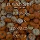 thumbnail image 2 of Vela Sweet Water Decor 255 g Especia de Calabaza – 40 + h, 2 of 9