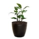 thumbnail image 4 of Macetero Umbra 27 Negro Set x3 Unidades – Bosco, 4 of 6