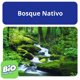 thumbnail image 4 of Detergente Líquido Bio Frescura Bosque Nativo Botella, 1,2 L, 4 of 7
