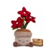 thumbnail image 2 of Peluche Russ Greenhouse de 30 cm – Planta de Pascua – Jazwares, 2 of 3