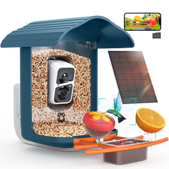 Comedero Para Pájaros Pav 2k Hd Cámara Ai Solar De 64 Gb