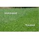 thumbnail image 2 of Herbicida Whitetail Institute Arrest Max 473 ml, 2 of 6