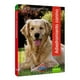thumbnail image 1 of Libro Adiestramiento Canino, 1 of 2