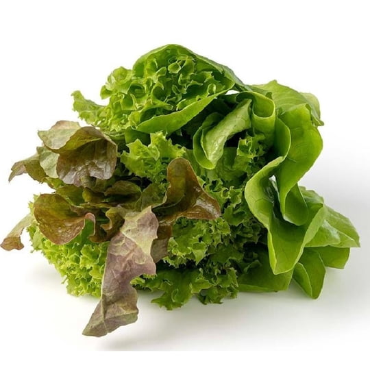Lechuga Trío Hidropónica Bolsa 1 Un