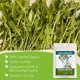thumbnail image 2 of Té Orgánico de Hoja de Diente de León (57 g) – Hojas de Diente de León – Hierba Orgánica Tradicionalmente Usada para Apoyar el Equilibrio de Agua y el Confort Diario, 2 of 8