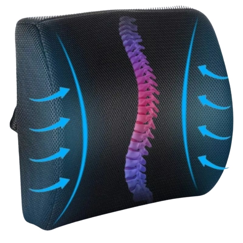 Cojín Lumbar Ergonómico De Espuma Viscoelástica Ergostore Negro