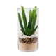 thumbnail image 1 of Suculenta con Textura S/Piedra en Cilindro Vidrio 20 cm, 1 of 2