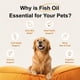 thumbnail image 2 of Microingredientes de aceite de pescado omega-3 para perros y gatos, 480 ml, 2 of 9