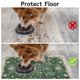 thumbnail image 3 of Tapete para mascotas Usnfhcaw absorbente de secado rápido para perros y gatos, 3 of 7