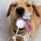 thumbnail image 2 of Set 3 Juguetes De Cuerda Pelota Entrena Mascota Perros Lau, 2 of 3