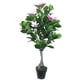thumbnail image 2 of Arbol de Magnolio rosado de 125 cm, 2 of 2