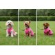 thumbnail image 5 of Suéter para perros, chaleco polar JACKO & CO, suave y cálido para perros de tamaño mediano, 5 of 8