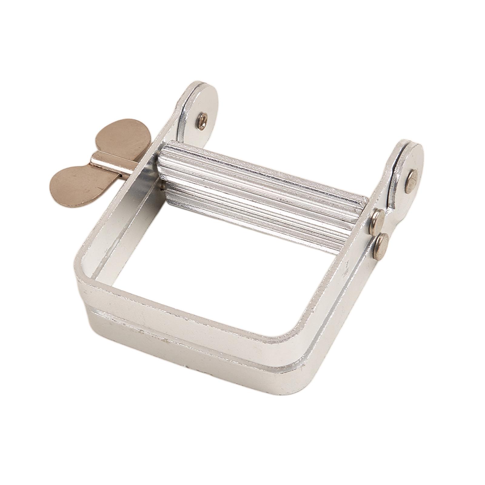 Bothyi - Exprimidor De Pasta De Dientes Extrusor De Pintura Al Óleo Para Pasta De Tomate Cosméticos Peluquería