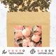 thumbnail image 3 of Té Leafmessage Melocotón Blanco, Jazmín y Oolong – 85 g, 3 of 5