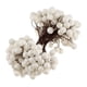 thumbnail image 4 of Mini Fruta Artificial De 40 Cabezas, Bayas, Decoración Navide?a Para Bodas, Blanco, 4 of 5